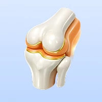 Здоровые суставы Премиум