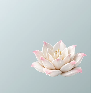 Оперативная гинекология