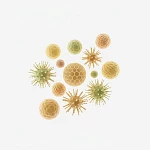 Анализы на аллергию