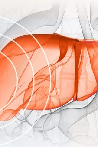 Диагностика поражения печени методом эластографии