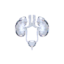 Чек-апы по урологии